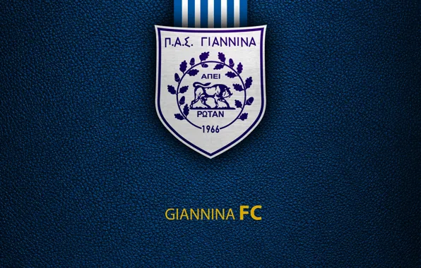 Wallpaper, sport, logo, football, Greek Super League, Giannina