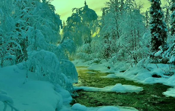 Картинка зима, лес, небо, снег, деревья, закат, река, ручей