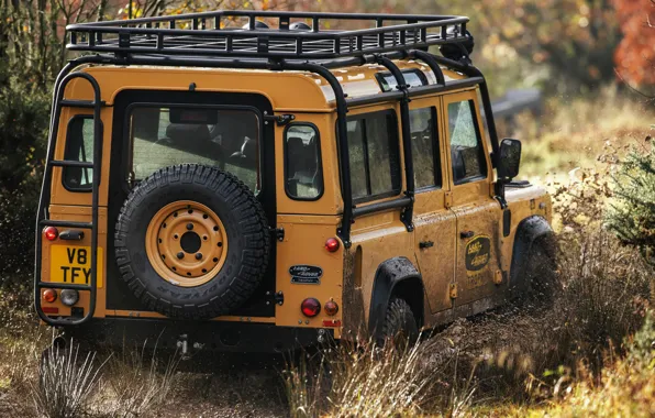 Картинка грязь, внедорожник, багажник, Land Rover, Defender, V8, запасное колесо, 5.0 л.