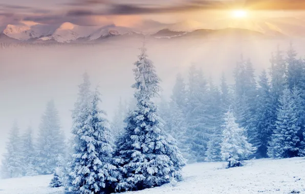 Картинка зима, снег, горы, природа, елки, солнечные лучи