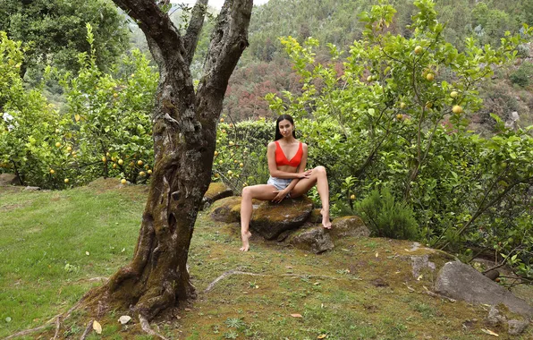 Trees, nature, model, Aria, outside, gorgeous, orchard, photoshoot