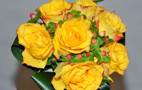 Розы, букет, желтые, bouquet