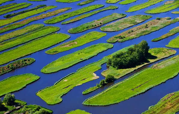 Трава, вода, деревья, остров, Нидерланды, Jisp