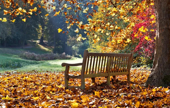 Картинка фото, Природа, Осень, Скамейка, Листья, Парк