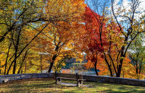 Картинка осень, солнце, деревья, парк, река, тени, стендовые