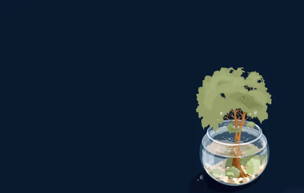 Картинка вода, дерево, аквариум, тень