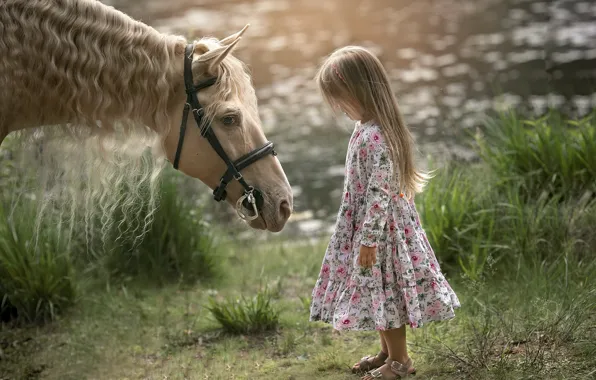Картинка лето, конь, девочка