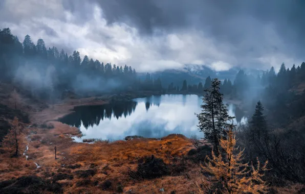 Картинка лес, природа, туман, озеро
