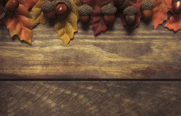 Картинка осень, листья, фон, дерево, colorful, доска, wood, желуди