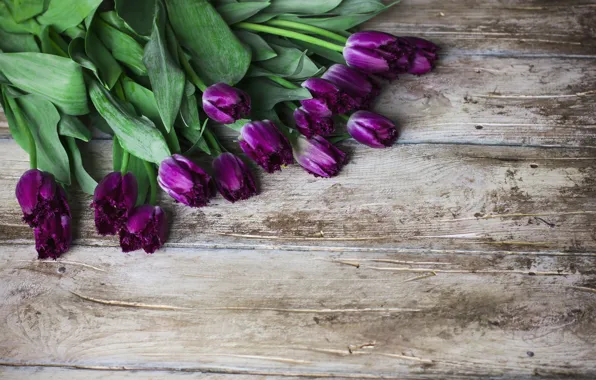 Картинка цветы, букет, фиолетовые, тюльпаны, wood, flowers, tulips, purple