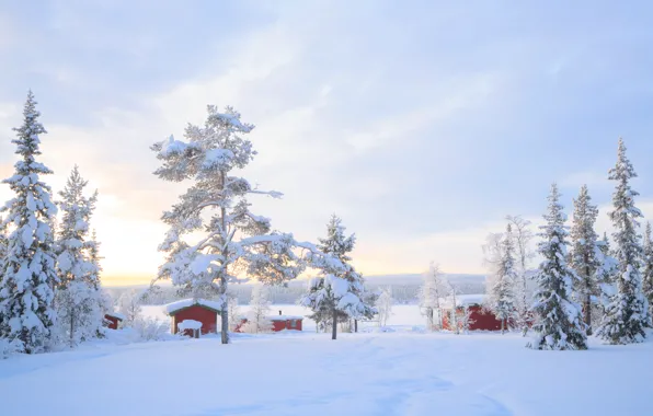 Зима, снег, деревья, пейзаж, зимний, house, хижина, landscape