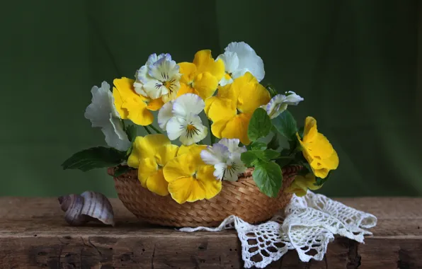 Ракушка, анютины глазки, виола