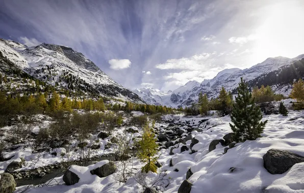 Картинка осень, снег, деревья, горы, природа, река, ручей, Швейцария