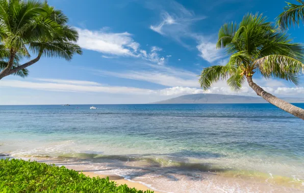 Картинка песок, море, небо, солнце, тропики, пальмы, побережье, Гавайи