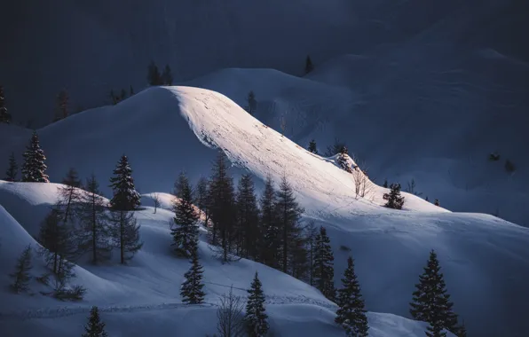 Nature, Winter, Mountain, Snow, Trees, Cold, Eberhard Grossgaesteiger