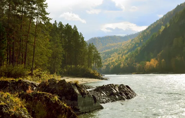 Картинка осень, река, катунь, горный Алтай, осень в лесу, осень в горах