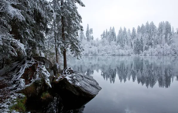 Зима, лес, снег, деревья, природа, озеро, отражение