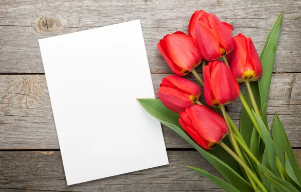 Картинка букет, тюльпаны, red, tulips