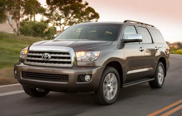 Внедорожник, 2012, toyota, люкс, sequoia