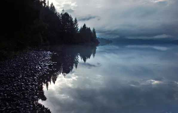 Картинка лес, природа, озеро, вечер