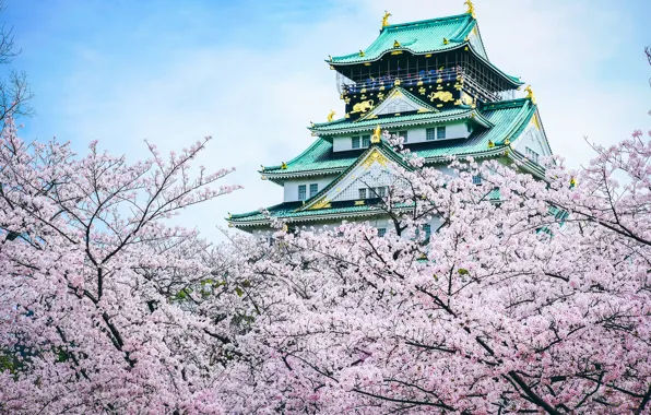 Замок, Япония, сакура, пагода