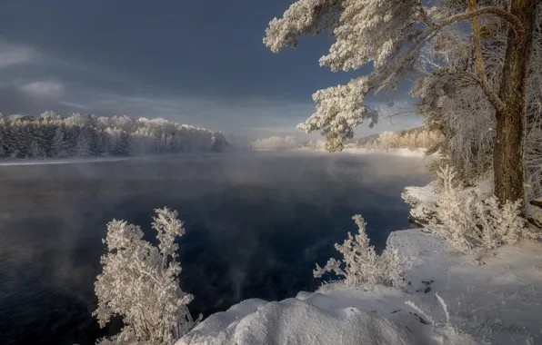 Зима, иней, снег, деревья, пейзаж, природа, река, мороз