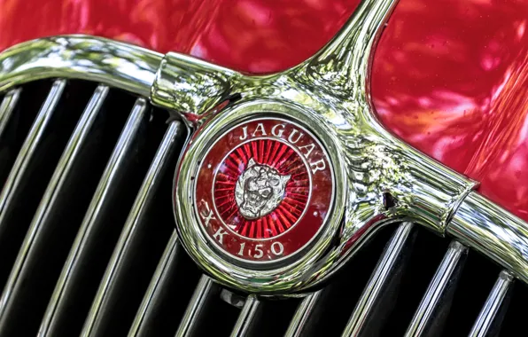 Макро, ретро, Jaguar, эмблема, 1957, XK 150