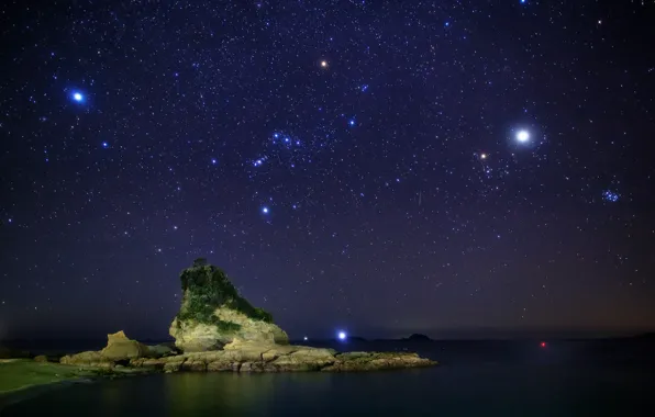 Картинка море, небо, звезды, ночь, камни, дерево, созвездия