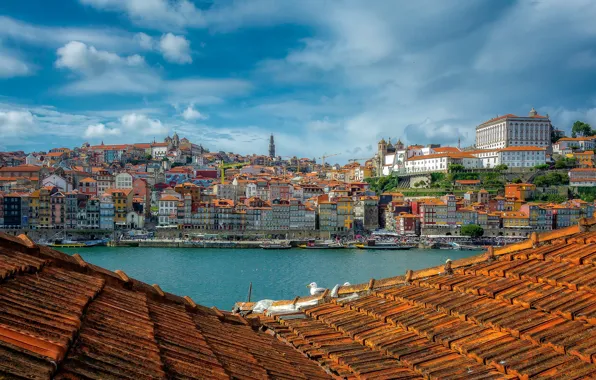 Крыша, река, здания, дома, Португалия, Portugal, Porto, Порту