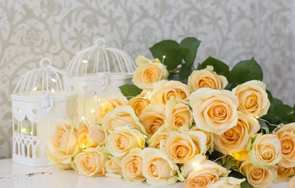 Картинка цветы, розы, желтые, yellow, flowers, roses