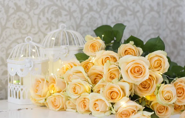 Цветы, розы, желтые, yellow, flowers, roses