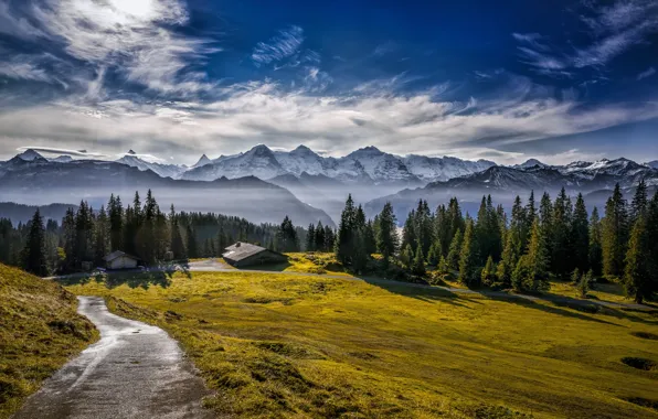 Картинка горы, Альпы, луг, домик