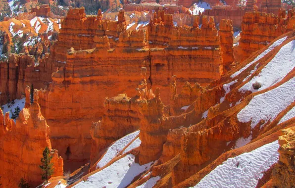 Картинка снег, горы, дерево, скалы, Юта, США, Bryce Canyon National Park