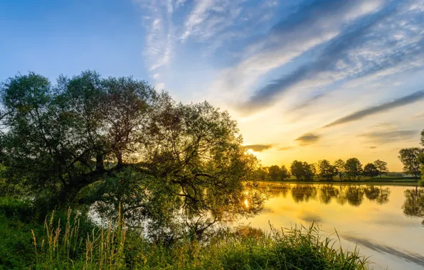 Картинка деревья, закат, озеро, Германия, Бавария, Кунерсдорф