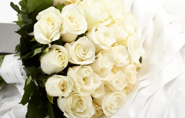 Букет, white, белые розы, flowers, roses