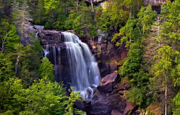 Картинка деревья, скалы, водопад, поток, Whitewater Falls