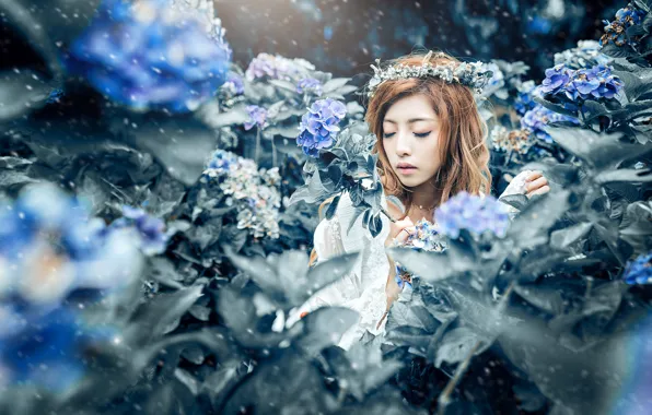 Картинка девушка, цветы, природа, лицо, голубой, портрет, руки, лепестки