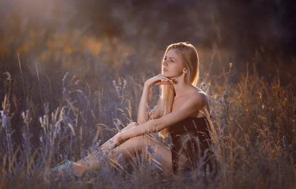 Картинка поле, лето, взгляд, девушка, поза, блондинка