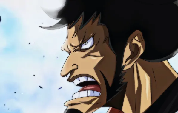 One Piece, war, anime, samurai, hero, asian, manga, oriental