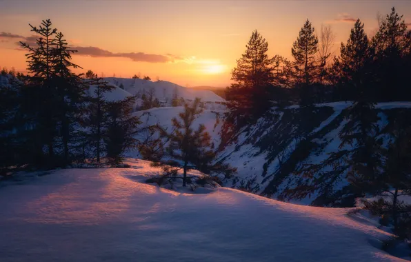 Зима, снег, деревья, пейзаж, закат, природа, Алексей Богорянов