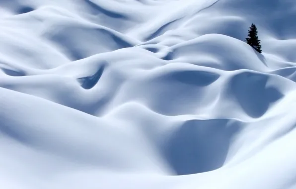 Картинка зима, белый, снег, дерево, Альпы