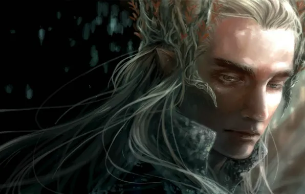 Фентези, эльф, арт, Властелин колец, Thranduil