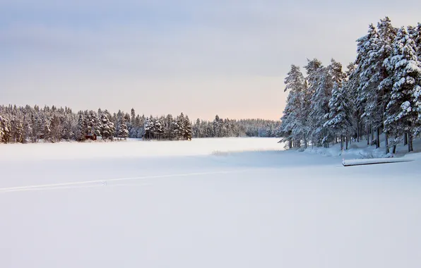Картинка зима, лес, небо, снег, деревья, река, русло