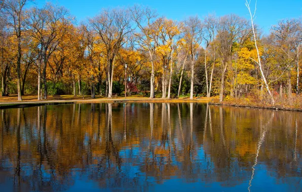 Осень, деревья, озеро, пруд, парк, отражение