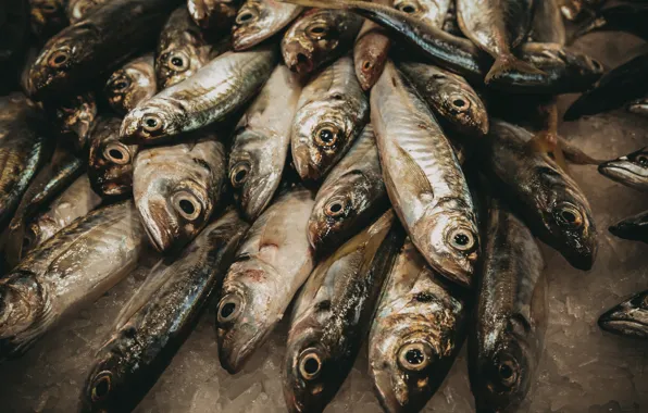 Картинка рыбы, фон, еда