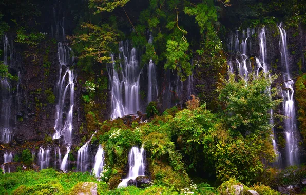 Лес, природа, камни, скалы, листва, водопад, кустарники