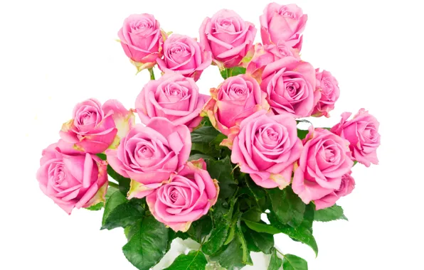 Розы, букет, pink, flowers, roses, розовые розы