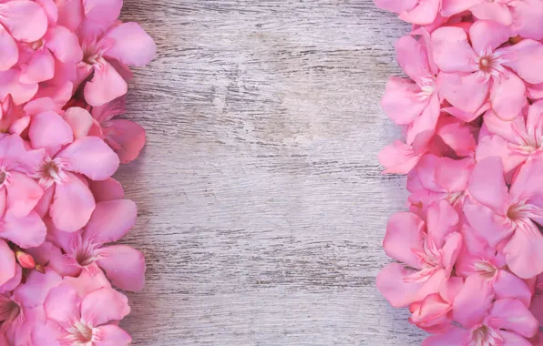 Картинка цветы, розовые, wood, pink, flowers, tender