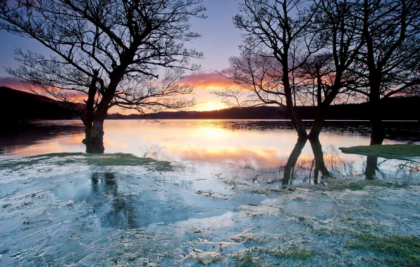 Картинка лед, деревья, закат, озеро, заморозки