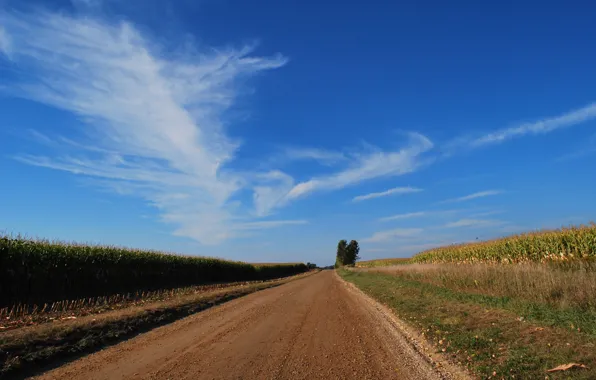 Картинка дорога, лето, summer, Road